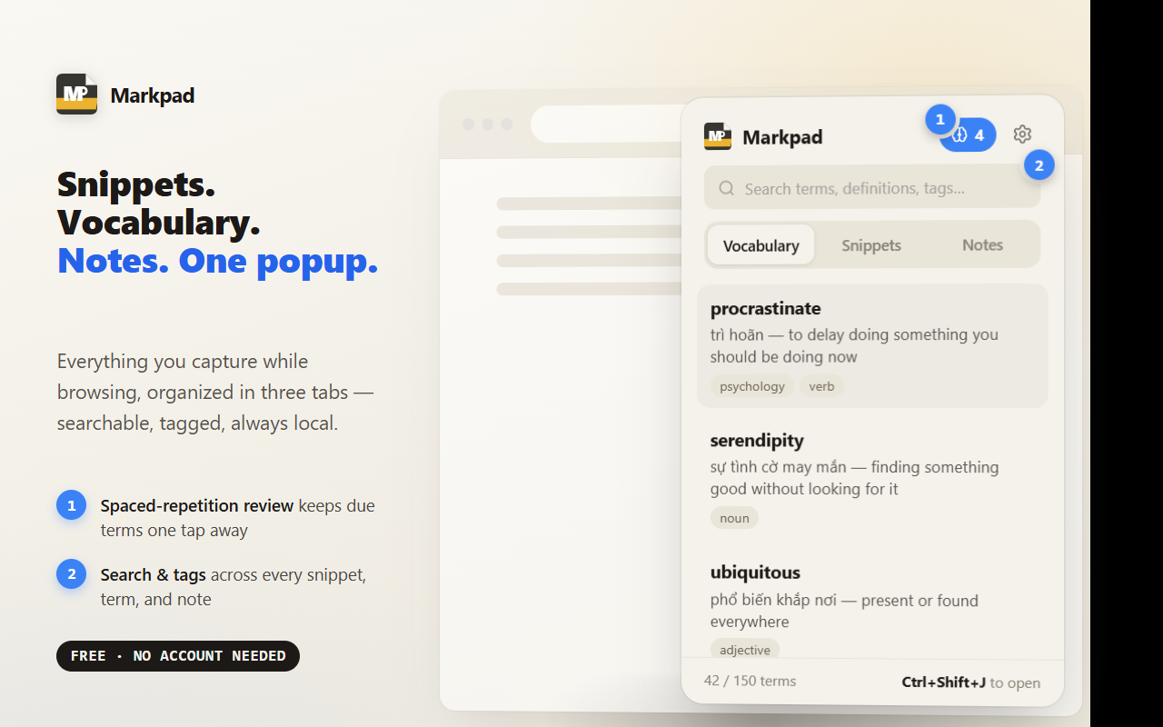 Vocabulary tab open in the popup, showing saved terms and a review-due badge